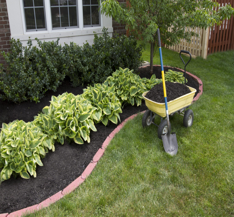 Residential Landscape Maintenance Melbourne, FL Wolf Landscaping, Inc